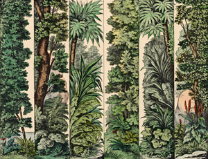 Tropischer Wald Kulissen